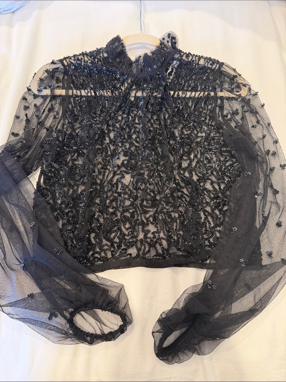 Zara Black Beaded Sheer Long-Sleeve Top